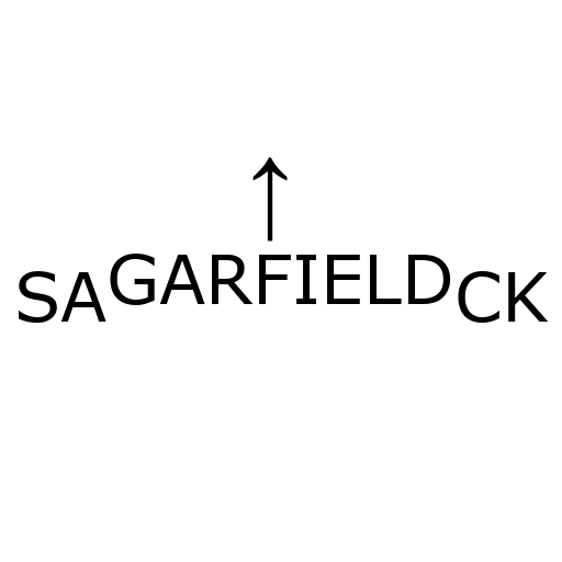 Dingbats SAGARFIELDCK